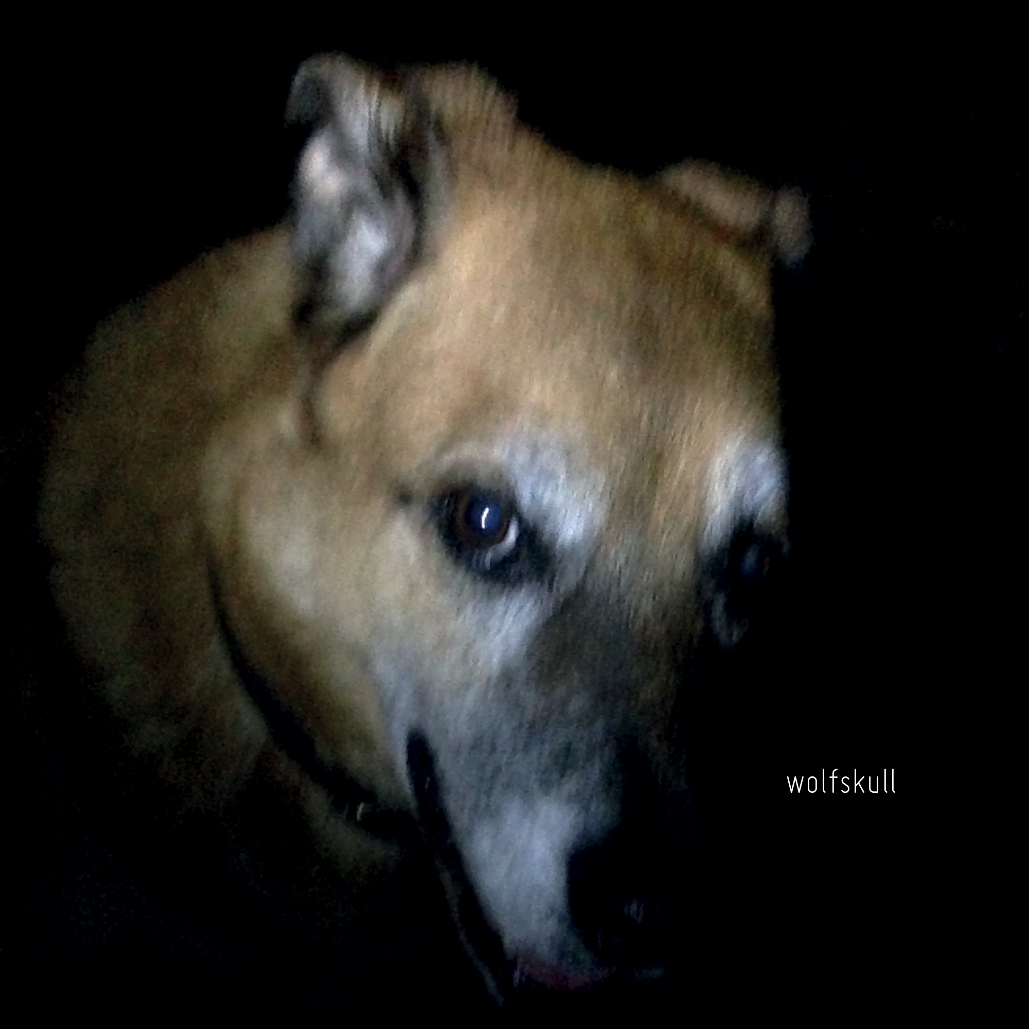 WOLFSKULL’s Debut Album Is A Work of Art