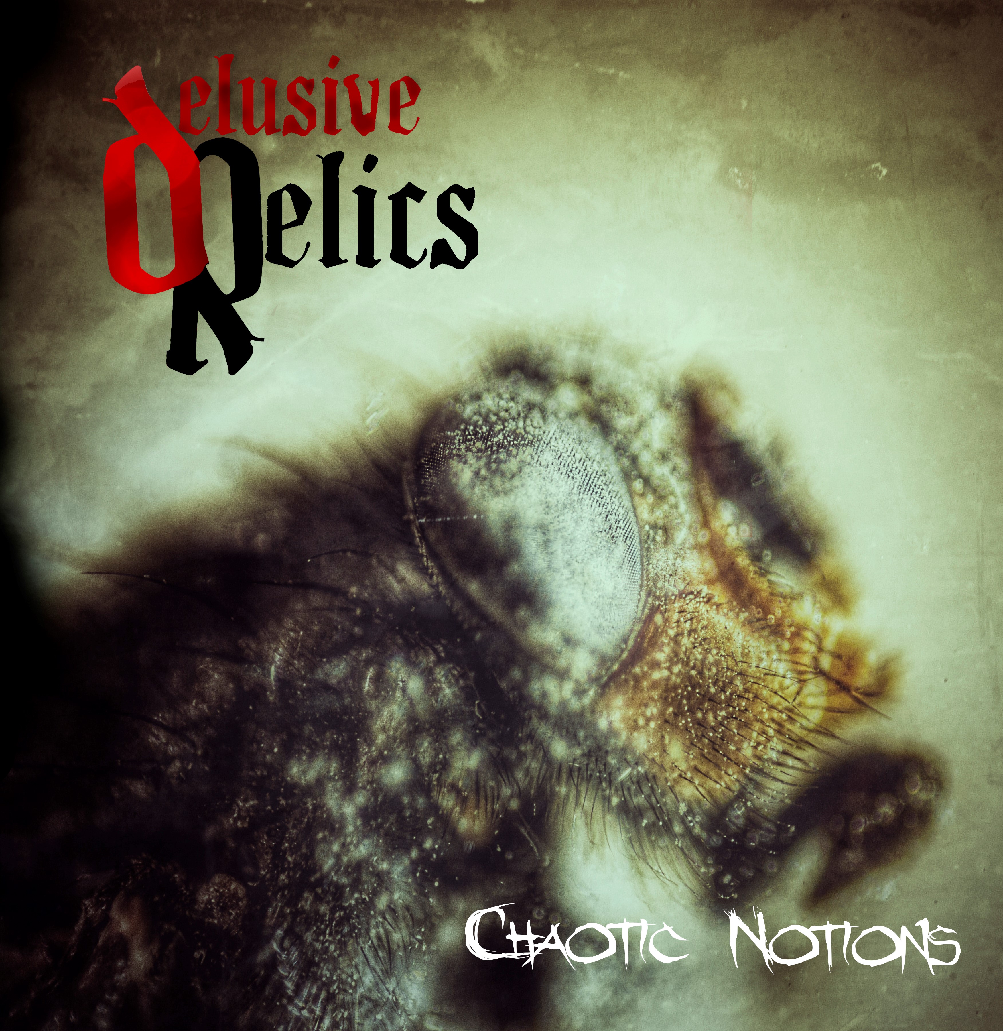 Chaotic Notions by Delusive Relics – Album Review