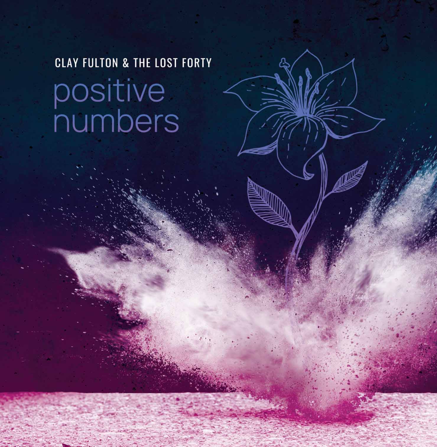 Positive Numbers by Clay Fulton & The Lost Forty