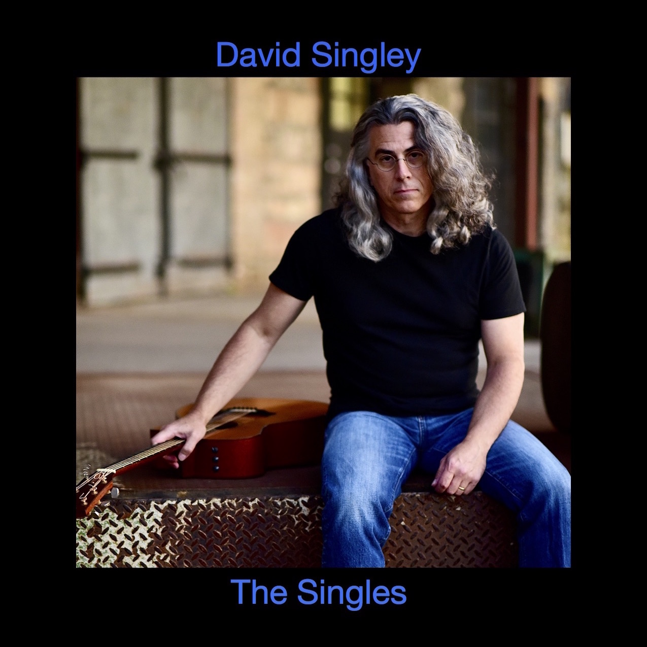 The Singles by David Singley