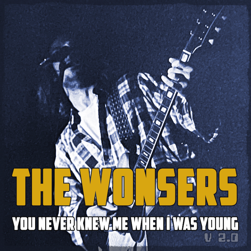 You Never Knew Me When I Was Young 2.0  by The Wonsers